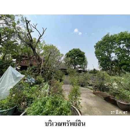 บ้านเดี่ยวพร้อมสิ่งปลูกสร้าง 3 หลัง กุลพันธ์วิลล์ 8 หางดง 2-1-64 ไร่ 3