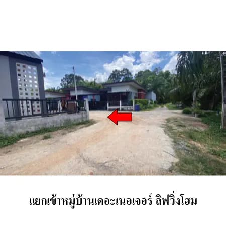 บ้านเดี่ยวชั้นเดียว เดอะ เนจอร์ ลิฟวิ่งโฮม พุนพิน 40 ตร.ว. 3
