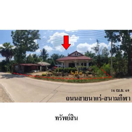 บ้านเดี่ยวชั้นเดียว วังไผ่ เมืองชุมพร 1 งาน 70 ตร.ว.