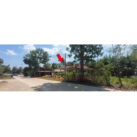 บ้านเดี่ยวชั้นเดียว วังไผ่ เมืองชุมพร 1 งาน 70 ตร.ว. 3