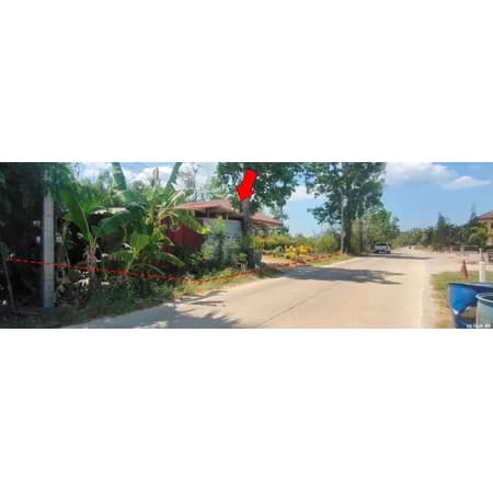 บ้านเดี่ยวชั้นเดียว วังไผ่ เมืองชุมพร 1 งาน 70 ตร.ว. 4