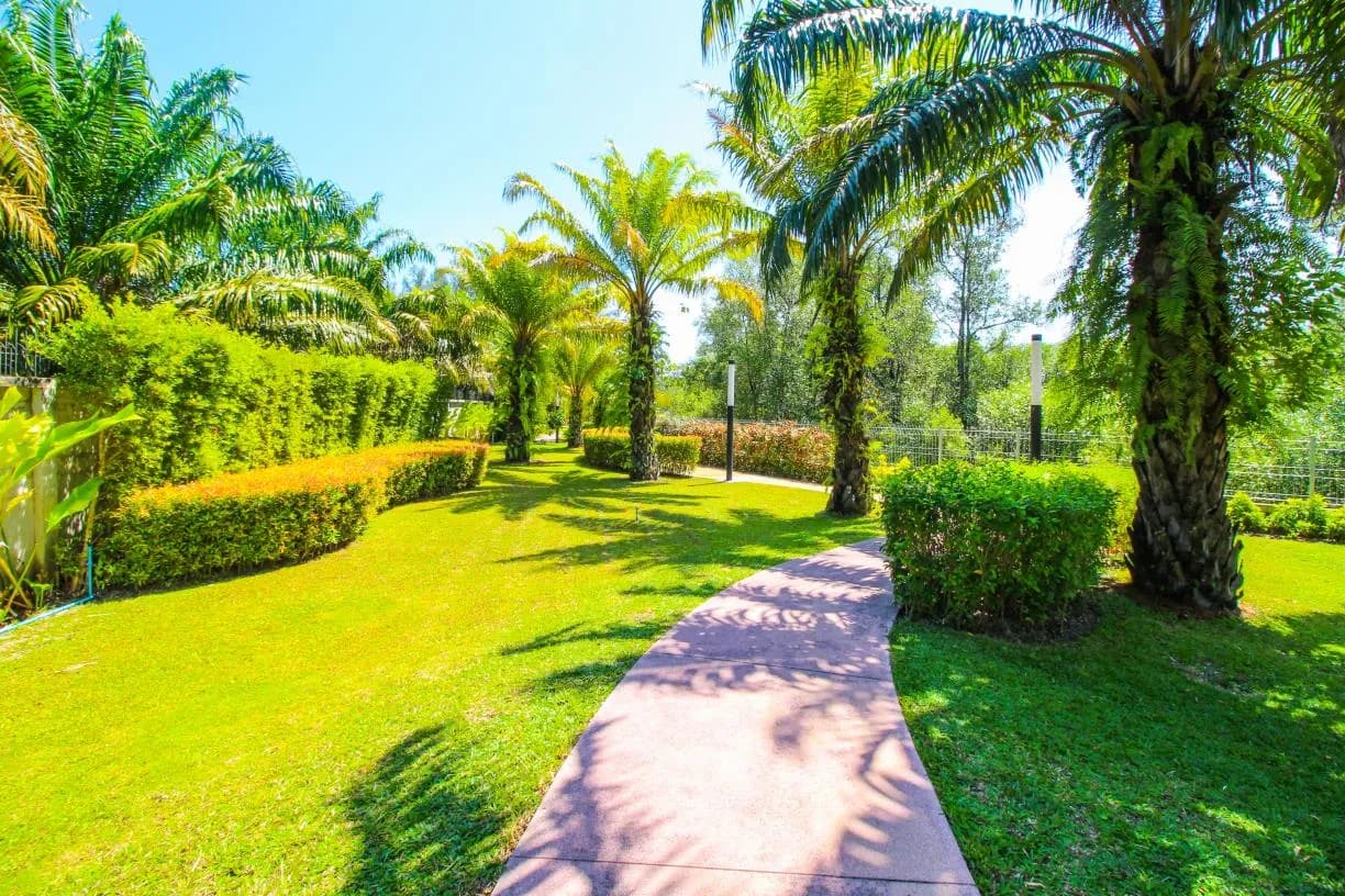 Taman